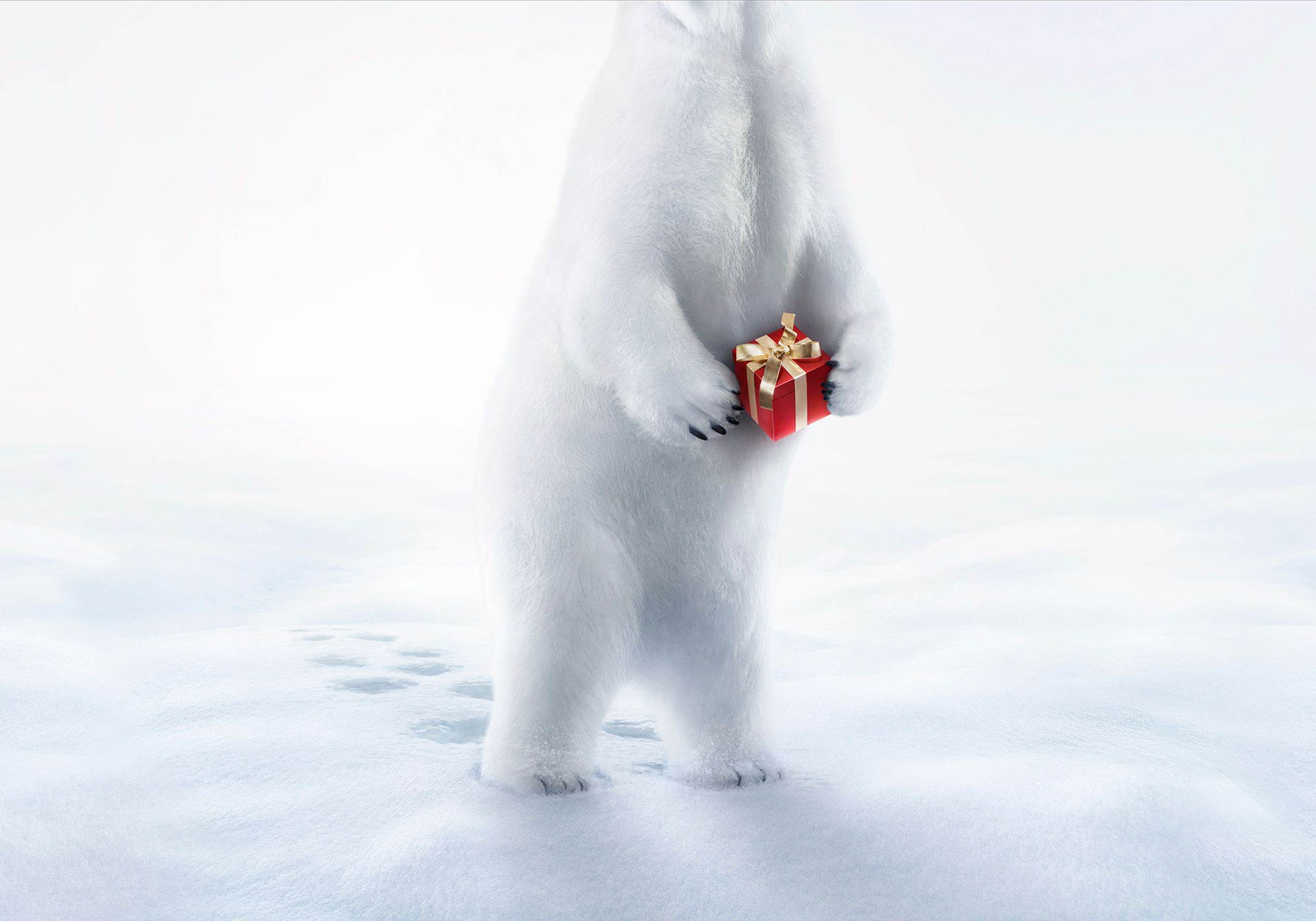 Celio by FEEL GOOD Creative Retouching,